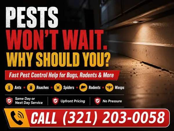 🐾🚨 Pest Control: Something In Your Home That Shouldnt Be There?