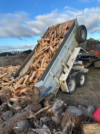 Firewood