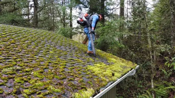 🏠 💪 Complete Roof Care - No payment until complete! - PORTLAND 💪🏠
