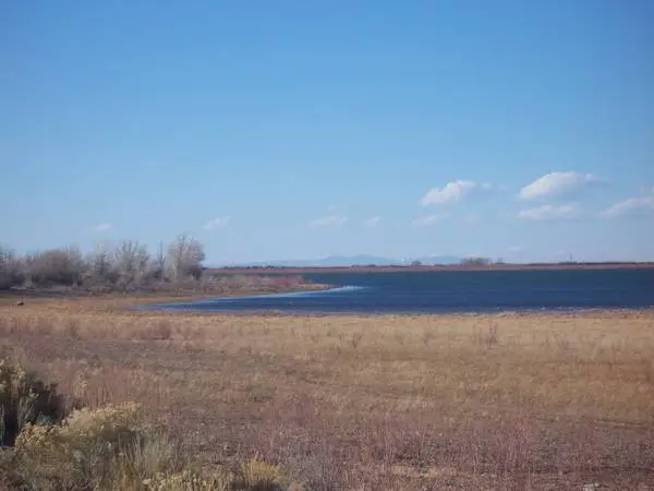 RIO GRANDE RIVER RANCHES (9) 1/4 ACRES COLORADO NEAR TOWN SAN LUIS