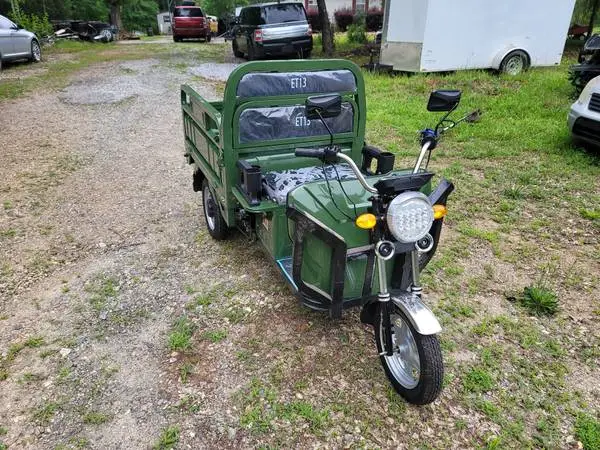 2026 mini E Trike