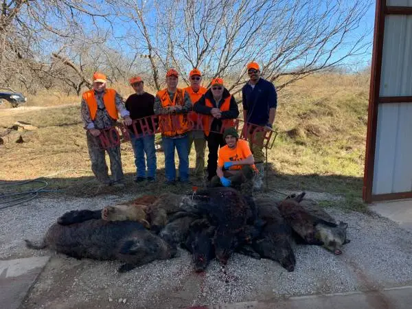 WILD HOG HUNT
