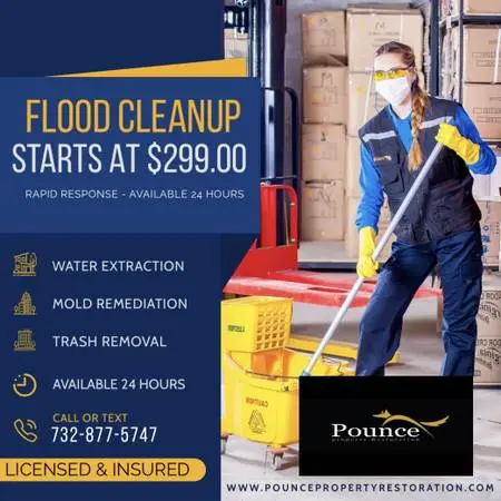 💧FLOOD RESTORATION AND MOLD REMEDIATION - STARTS AT $299.00