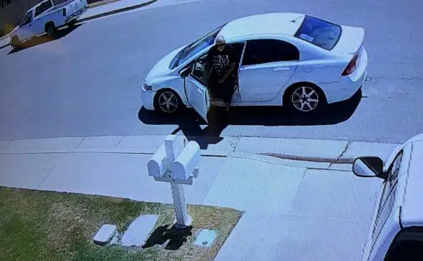 REWARD: 500.00 CASH for Mail Box Thief