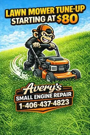 Lawnmower tune-ups