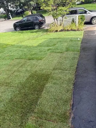 Fresh Cut Sod Installation For Your Front & Back Yard