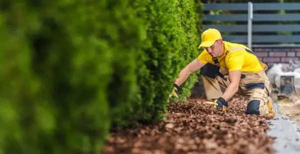 Mulch, Landscape Maintenance & Landscaping Services