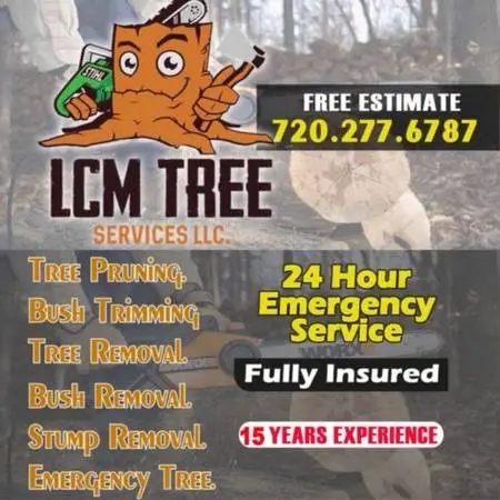 LCM Tree Services LLC