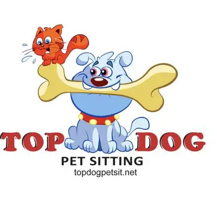 Dog Walker