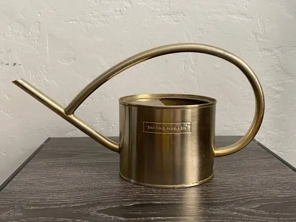 Vintage Stainless Steel Watering Can