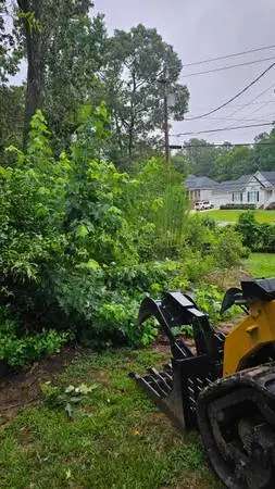 Isaacs Tree service and all cleanups.