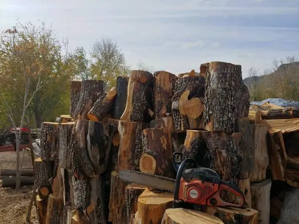 FIREWOOD Oak & Juniper mix