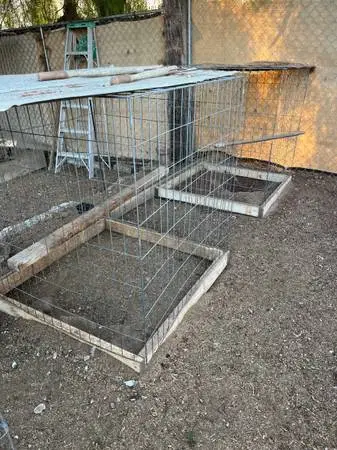 Cages jaulas pens