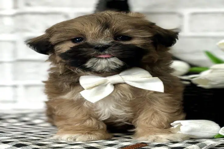 cute 🥰