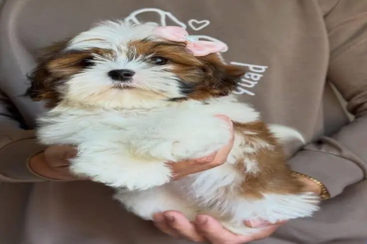cute 🥰
