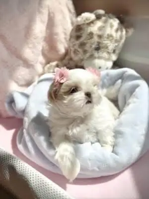 cute 😊