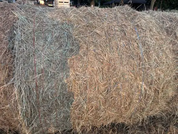 Round Bales