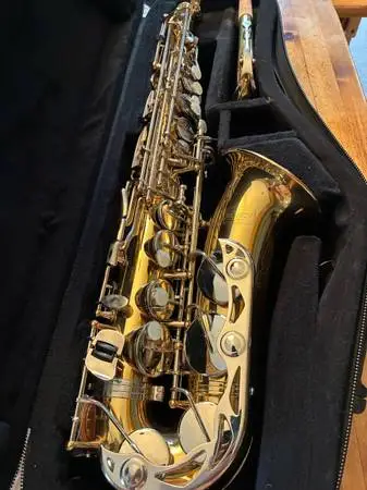 Beautiful Bundy Alto Saxophone and case