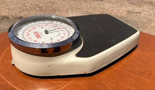 Vintage Large Seca Brand Scale Quality Steel Heavy Duty 320lbs