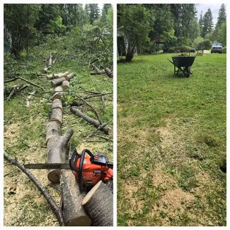 🌲🌲 Tree Removal Service 🌲🌲 STORM Clean up all Locations.