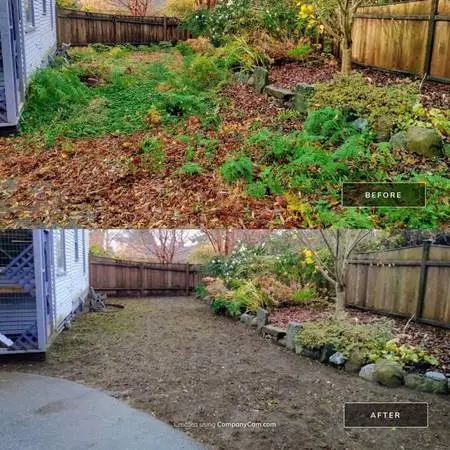 🍂 Reliable Landscaping & Fall Cleanups