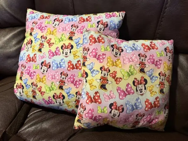 2 Decorating Pillows set
