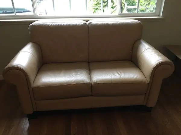 Leather Love Seat