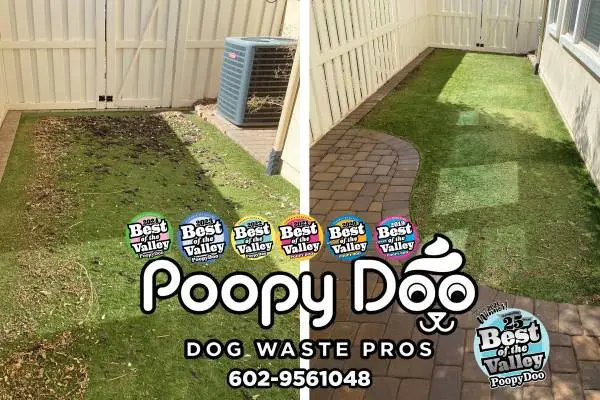 ******* BEST- East Valley- Dog Poop Removal Service *******