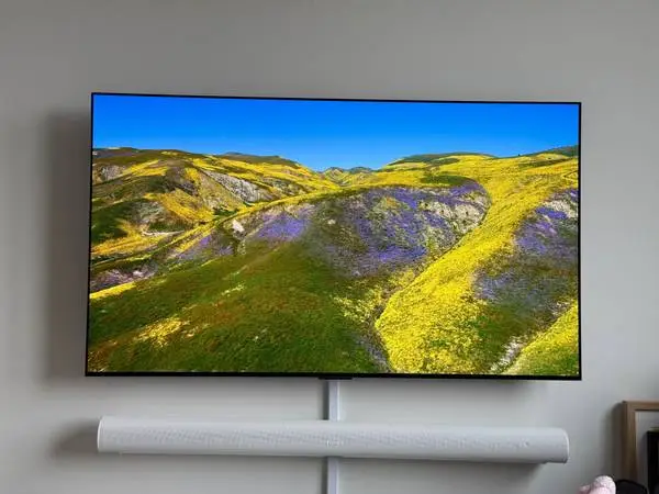 LG C3 55-Inch OLED evo 4K TV With Wall Mount