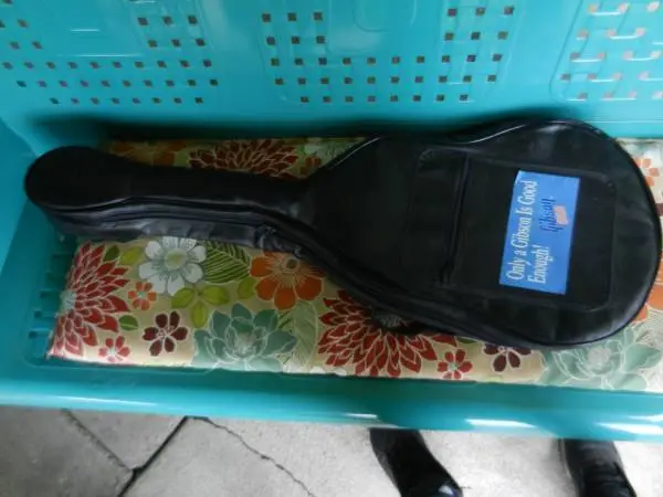 Nice real leather guitar case