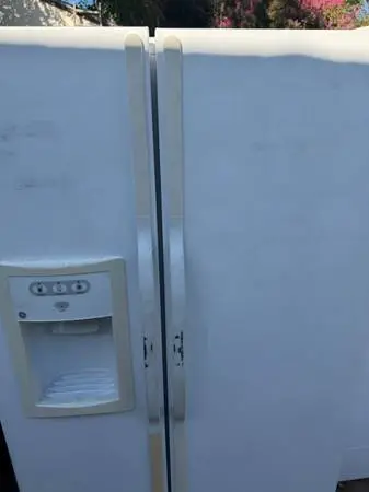 Garage refrigerator delivered