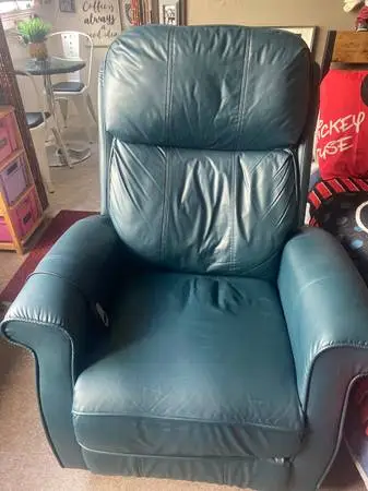 Electric Recliner