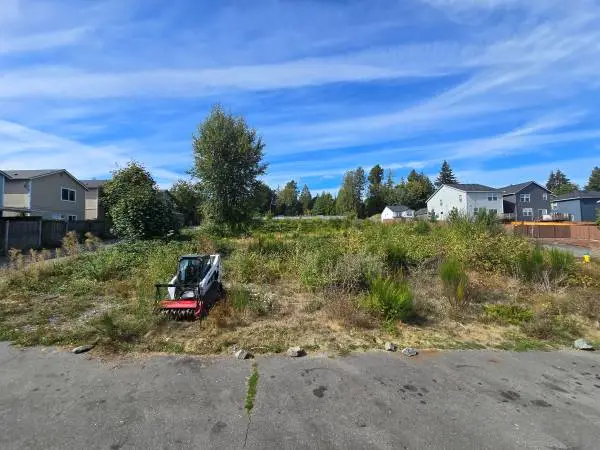 Brush Cutting, Forestry Mulching, overgrown properties 🚜🐛🌳
