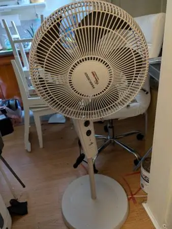 Table and floor fans