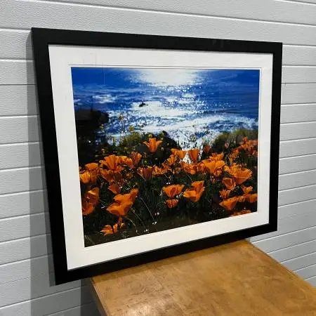 More Picture (s) / Plaque (s) / Photo Frame (s) at Creative Bargains