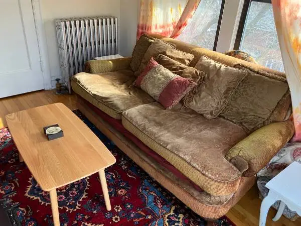 Brown Velvet Couch (with pillows)