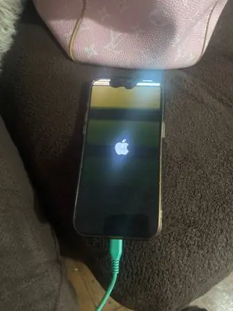 16 ProMax Broken Screen
