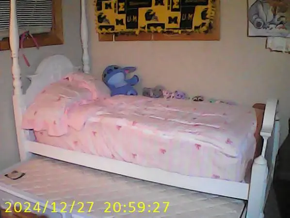 Princess Twin Bed w/trundle pull out