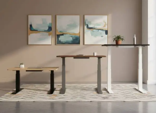 Sit to Stand Desk | Adjustable Height Desks | Standing Desk Dealer