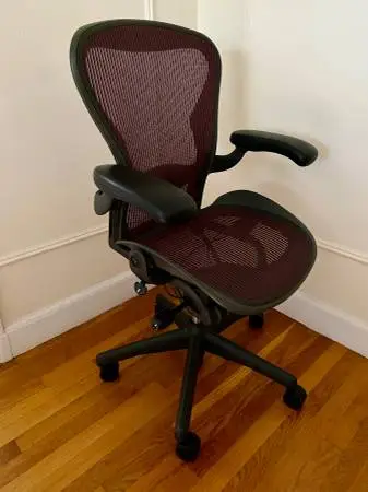 Vintage Herman Miller Aeron Chair — Wine Pellicle, Size B