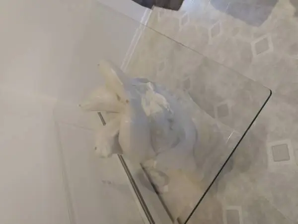 glass dolphin  dining table