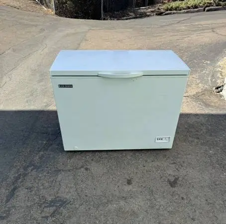 Commercial 9.6 cu deep chest freezer (free local delivery)