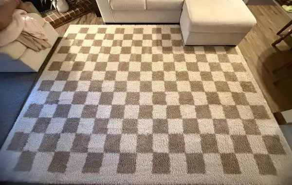 Area rug (Signature design by Ashley)