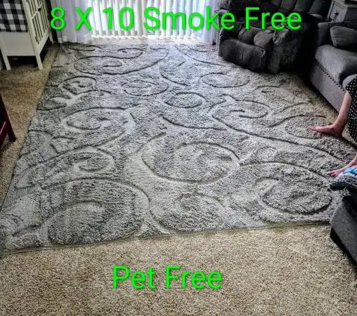 8x10 Grey Sculpted Scroll Area Rug Used $45