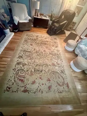 Safavieh 8’ x 11’ room rug..golden beige and reds with black ..Paisley