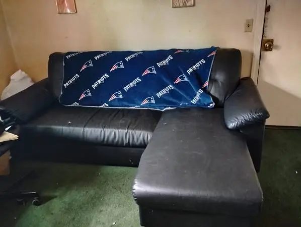 Sleeper sofa