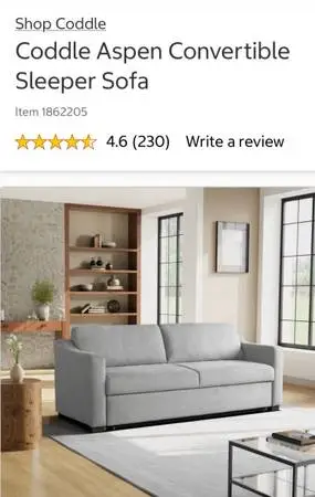 Sleeper Sofa