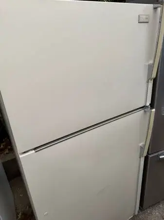 Garage refrigerator delivered