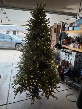 7.5 Christmas Tree