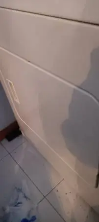 Roper dryer